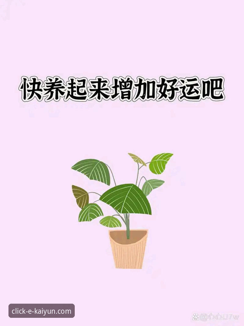 新手必看！kaiyun体育使用教程全攻略，从注册到畅玩的实战经验分享
